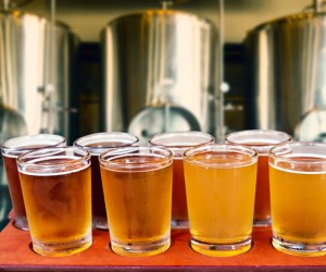 image of 8 large beers in a micro brewery